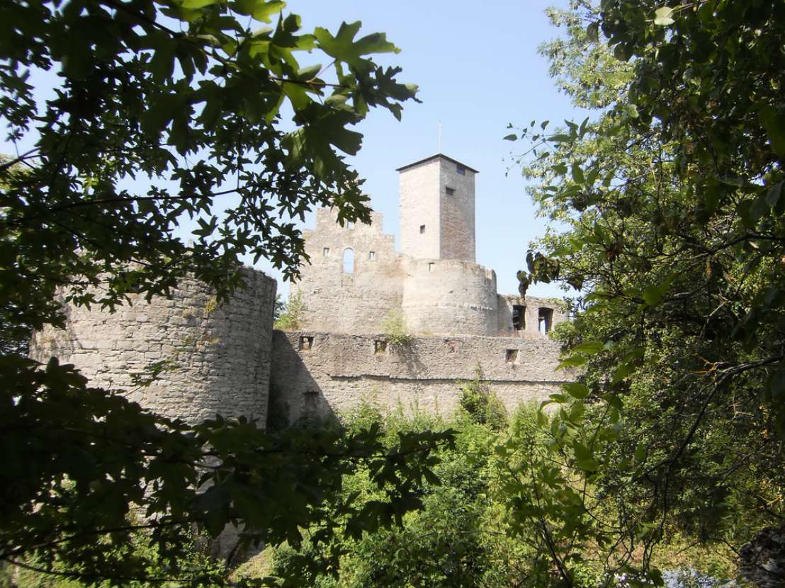 trimburg-2010